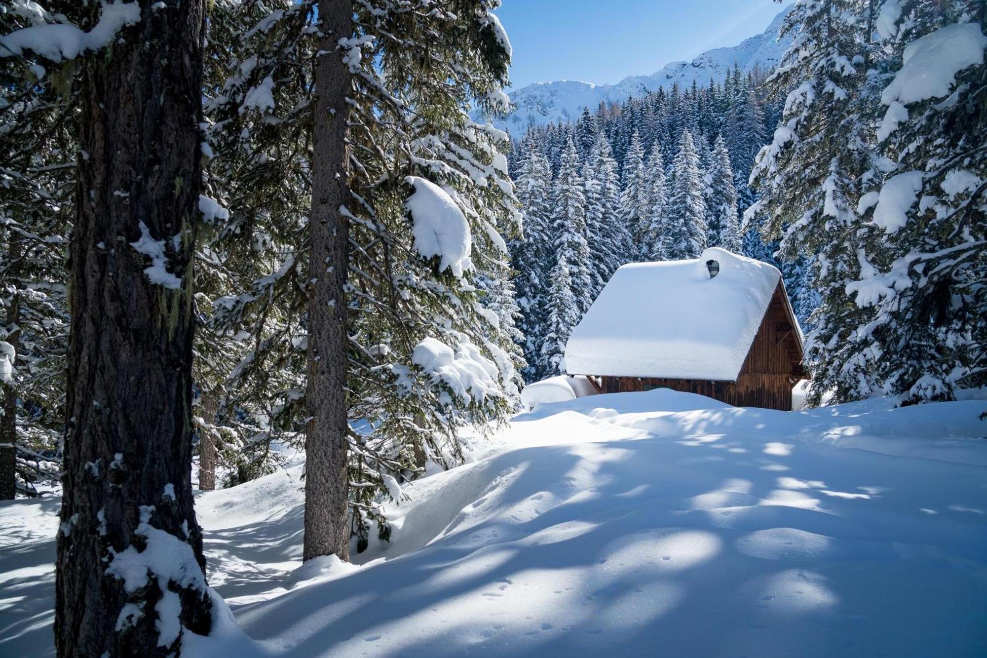 Landhaus Schwaiger Бад Хофгаштайн Экстерьер фото